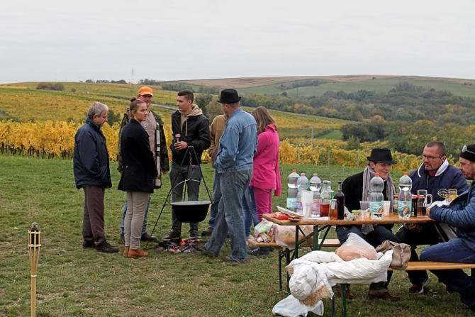 A velős marhapofa nyert a Hilltop dombon