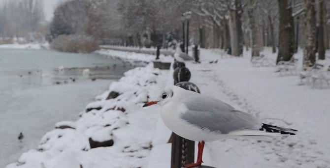 Évről évre vonzóbb a magyar tenger