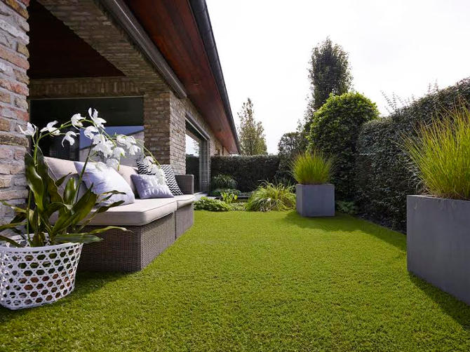 Bíbor tangó és modern lebegés – 9. Gardenexpo