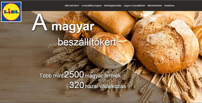 Újabb beszállítókat keres a Lidl