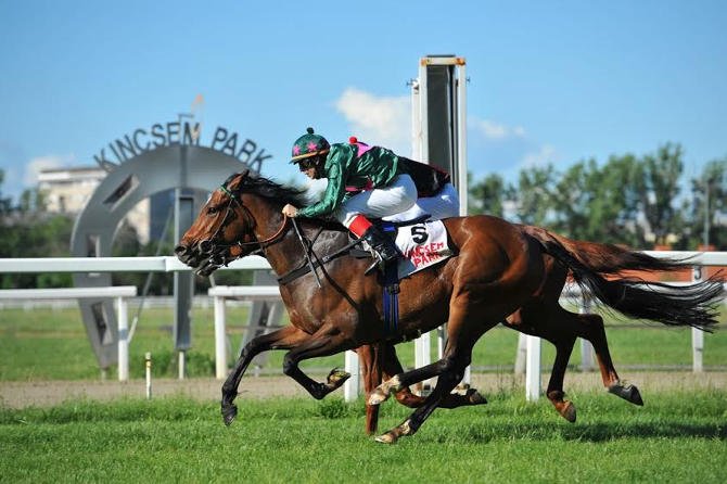 Derby és Gasztroangyal Fesztivál a Kincsem Parkban