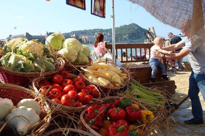 Rekordot döntött a Múltidéző Piactér látogatottsága