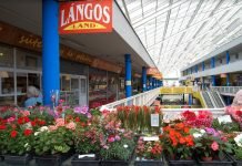 A közösségi oldalak egyben mércék is a kereskedelem számára A közösségi oldalak egyben mércék is a kereskedelem számára