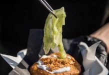 Vénusz Lángos Voks 2017