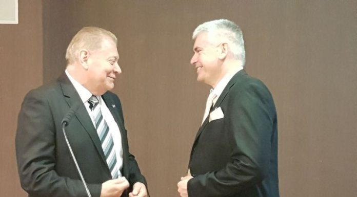 Boros László Attila a Fürdőszövetség új elnöke