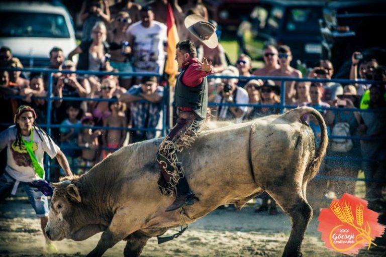Élő Bika Rodeóval csábít a XXX. Göcseji Aratónapok