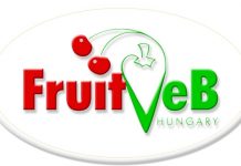 Megújította együttműködését a FruitVeb és a Budapesti Nagybani Piac