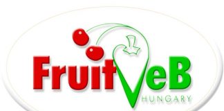 Megújította együttműködését a FruitVeb és a Budapesti Nagybani Piac