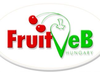 Megújította együttműködését a FruitVeb és a Budapesti Nagybani Piac