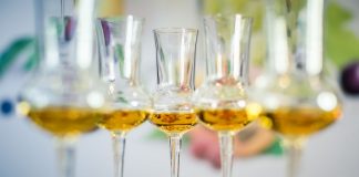 Jázmin szőlőből készült Magyarország legjobb pálinkája pálinka - ital, gasztronómia