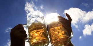 sör, sörfogyasztás, sörfőzde - gasztronómia