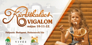 Kürtősfeszt a Holnemvolt Várban.