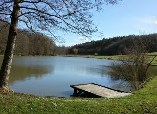 Tájház és turistaközpont épül a Ropolyi-tónál