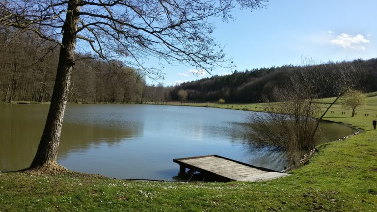Tájház és turistaközpont épül a Ropolyi-tónál