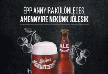 Óriási magyar sörös siker a nemzetközi versenyen – tarolnak a Soproni Óvatos Duhajok