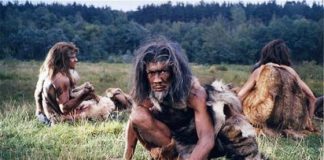 14 ezer éves kenyér írta át az étkezés történetét – íme, az öt legrégebbi étellelet