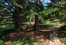 Himalájai cédrus, Folly arborétum