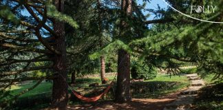 Himalájai cédrus, Folly arborétum