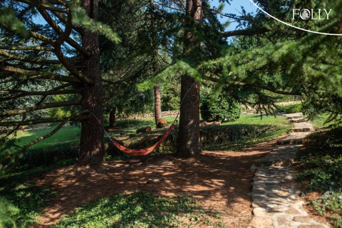 Himalájai cédrus, Folly arborétum