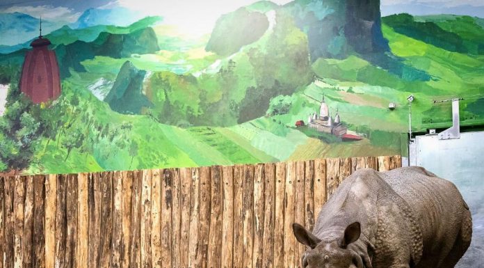 Elkészült a Nyíregyházi Állatpark India háza