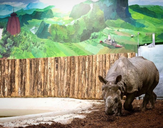 Elkészült a Nyíregyházi Állatpark India háza