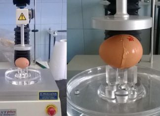 Tojásból lesz a csoda