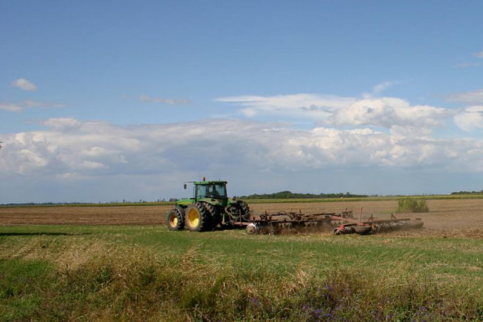 Mezőgazdaság, hírek Mezőgazdaság, hírek