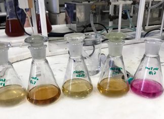 Pálinkatudomány; törkölytől a csipkepárlatokig