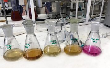 Pálinkatudomány; törkölytől a csipkepárlatokig Pálinkatudomány; törkölytől a csipkepárlatokig