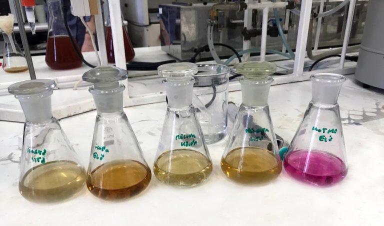 Pálinkatudomány; törkölytől a csipkepárlatokig