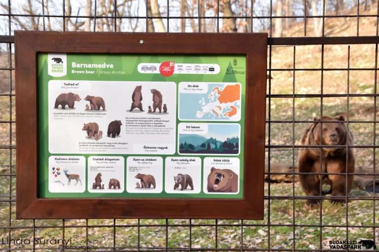 Budakeszi Vadaspark