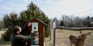 Pákozd-Sukorói Arborétum és Vadaspark