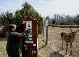 Pákozd-Sukorói Arborétum és Vadaspark