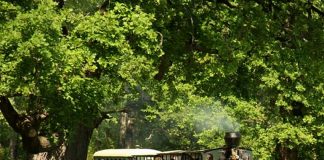 Gemenci erdei vasút