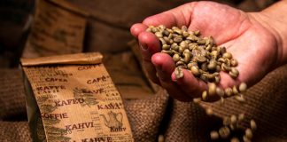 Világos pörkölésű kávéval tovább fokozható a fekete jótékony hatása Kávé fogyasztás, gasztronómia