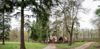 Pilisi Parkerdő - Anna lak