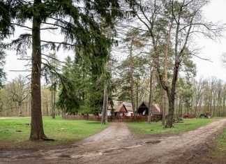 Pilisi Parkerdő - Anna lak