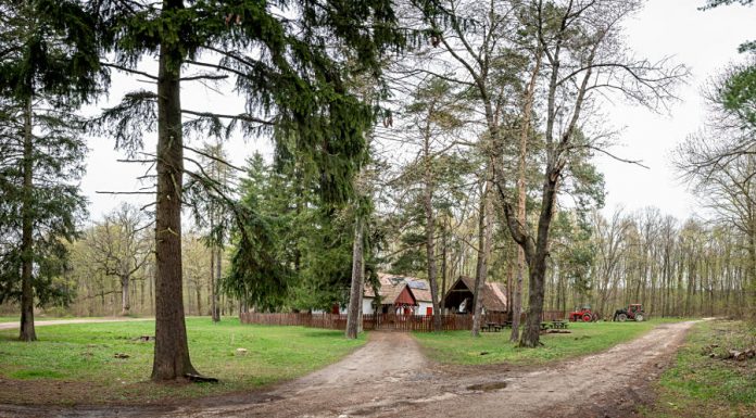 Pilisi Parkerdő - Anna lak