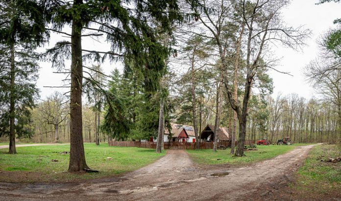 Pilisi Parkerdő - Anna lak