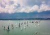 A terveknek megfelelően május közepén kezdődhet vitorlás szezon a Balatonon Vitorlás verseny - Balaton