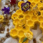 A Balaton idei fagyija hársmézzel, mandulával és almával Mézesem, a Balaton fagyija 2021