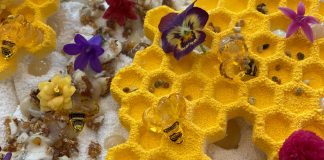 Mézesem, a Balaton fagyija 2021