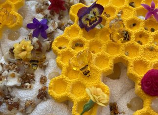 Mézesem, a Balaton fagyija 2021