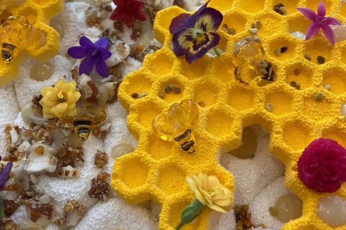 Mézesem, a Balaton fagyija 2021