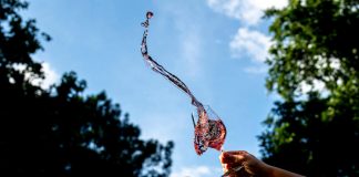 Rosalia fesztivál - Rosé és Pezsgő Liget