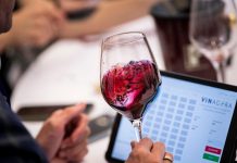 VinAgora Nemzetközi Borverseny