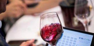 VinAgora Nemzetközi Borverseny