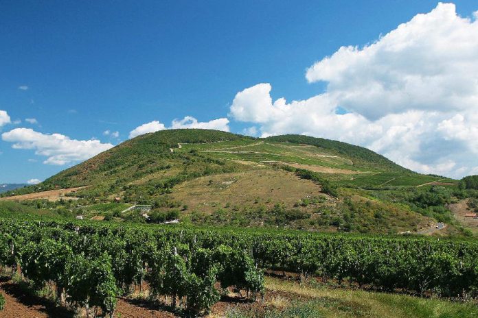 Egri Borvidék, Egri Borműhely Egri Borvidék