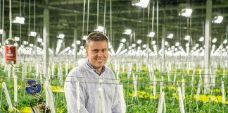 veresi paradicsom - gasztronómia