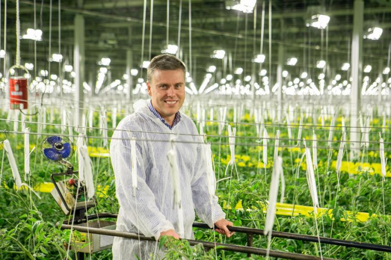 veresi paradicsom - gasztronómia